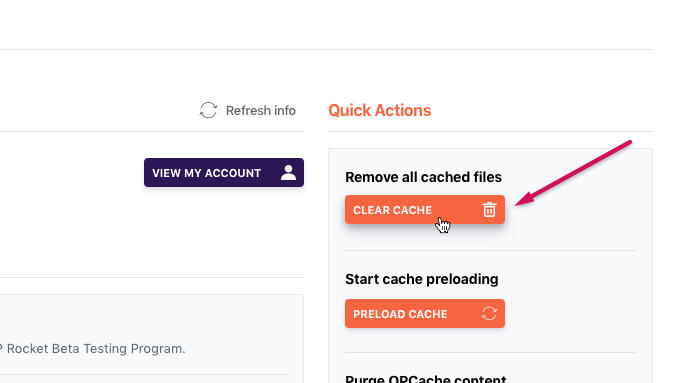 Effacer le cache WordPress à l'aide du plugin WP Rocket