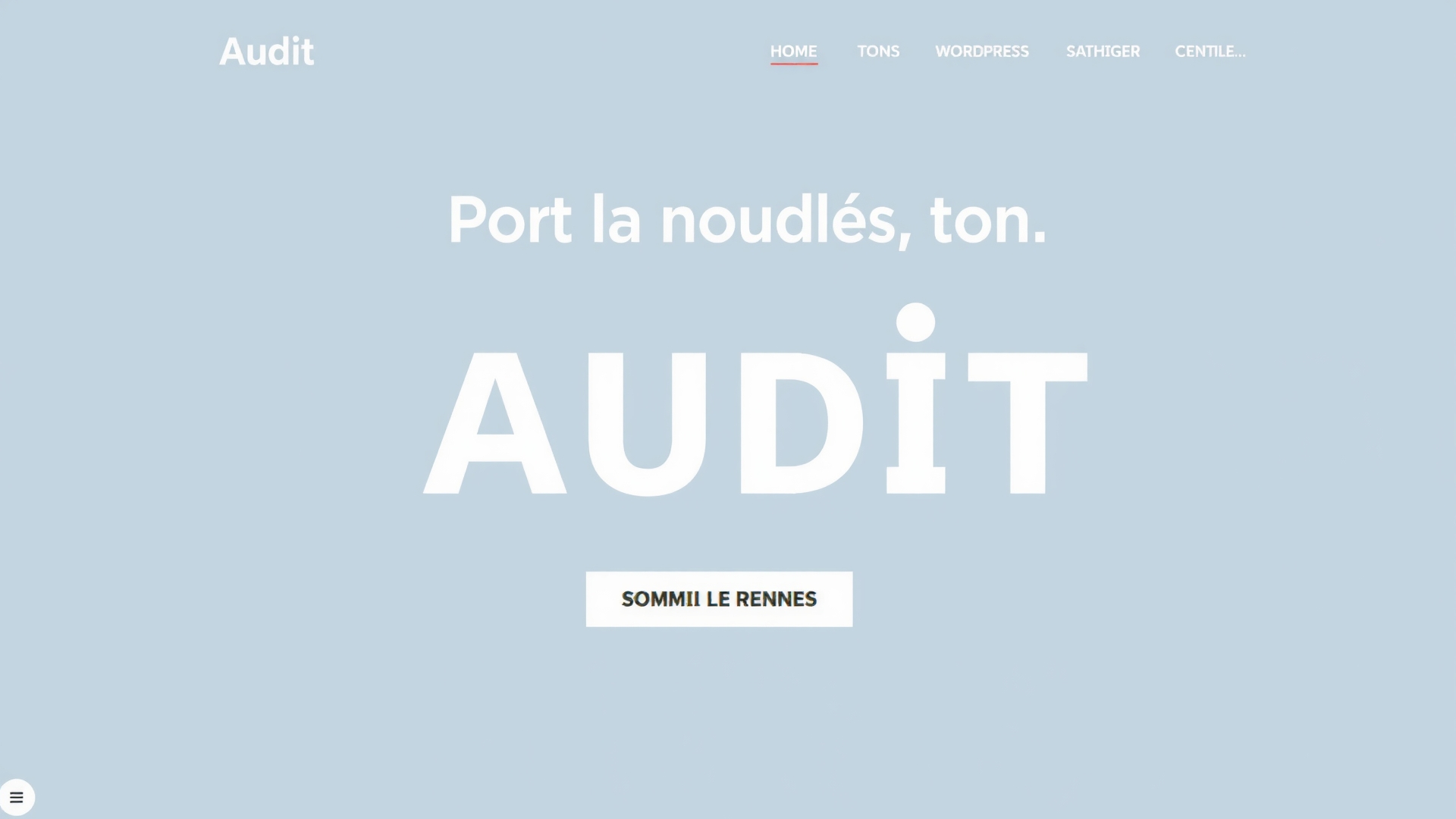 Audit Site Internet WordPress Rennes