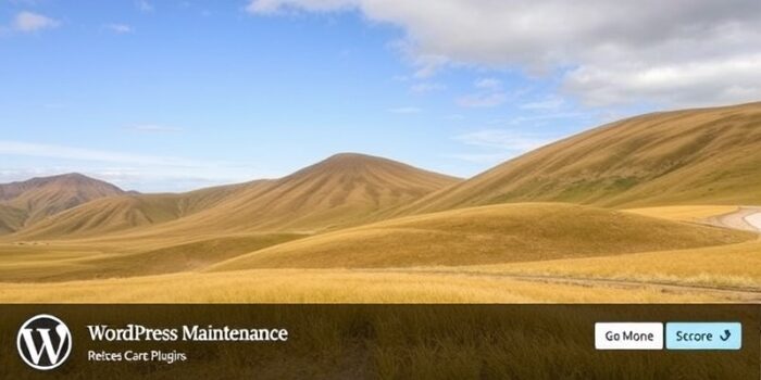 maintenance mode wordpress plugin