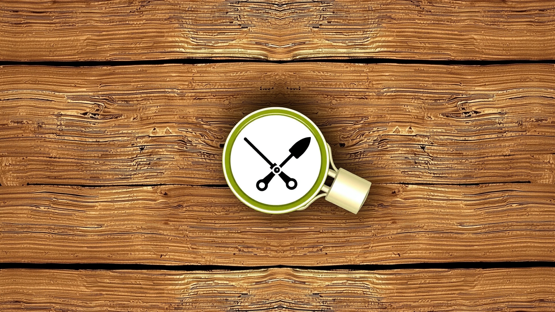 Conflit Plugins WordPress : Comment Corriger ?