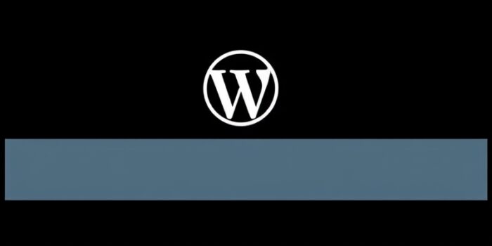 wordpress accès admin bloqué par maintenance