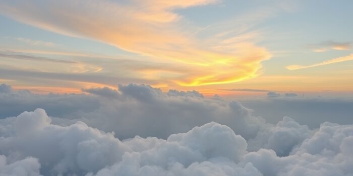 wordpress maintenance brunei